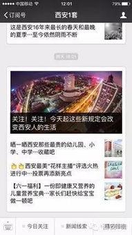 河北新闻线索爆料最新,最新爆料揭示城市绿化项目背后惊人真相